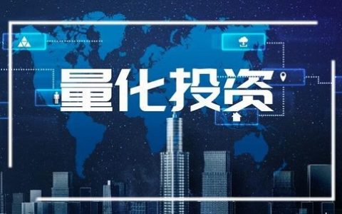 中国国际期货 王永利
